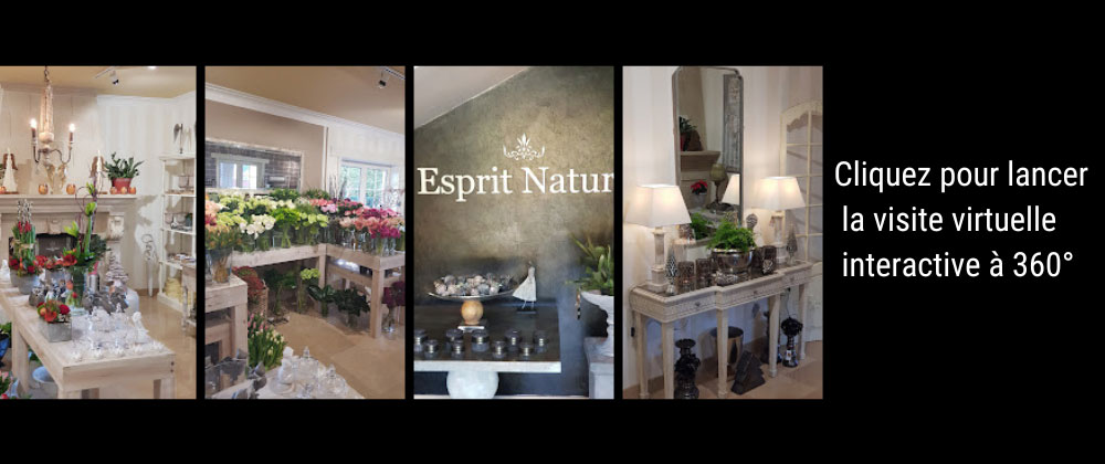 Visite virtuelle Esprit Nature à à Montigny-le-Tilleul